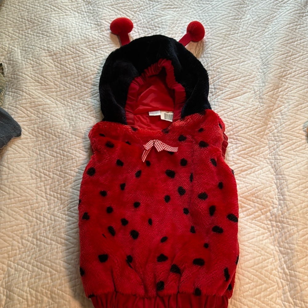 Ladybug infant Halloween Costune